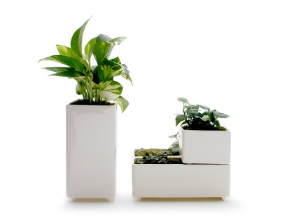 Micro Garden